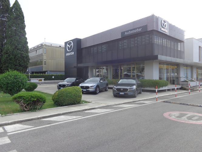 dealer showroom
